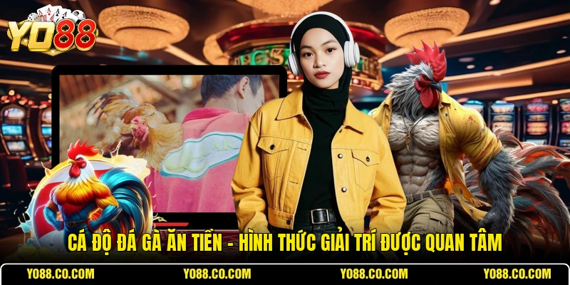 Cá Độ Đá Gà Ăn Tiền - Hình Thức Giải Trí Được Quan Tâm