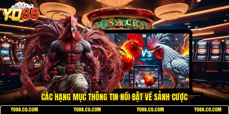 Các hạng mục thông tin nổi bật về sảnh cược