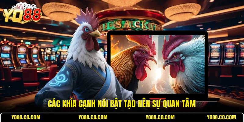 Các khía cạnh nổi bật tạo nên sự quan tâm