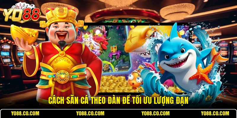 Cách săn cá theo đàn để tối ưu lượng đạn