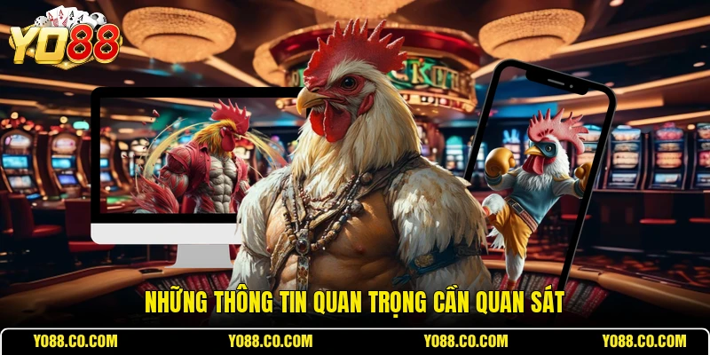 Những thông tin quan trọng cần quan sát