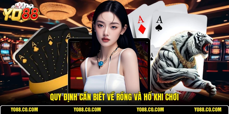 Quy định cần biết về Rồng và Hổ khi chơi