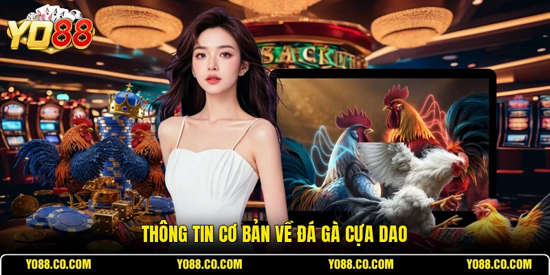Thông tin cơ bản về đá gà cựa dao