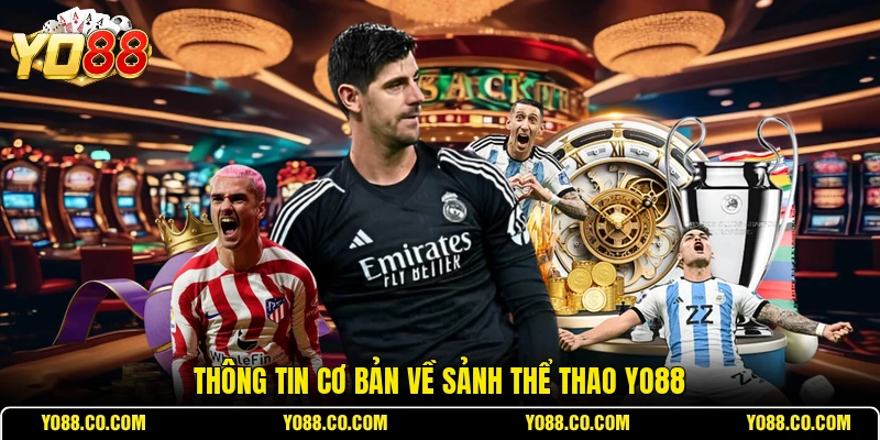 Thông tin cơ bản về sảnh thể thao YO88