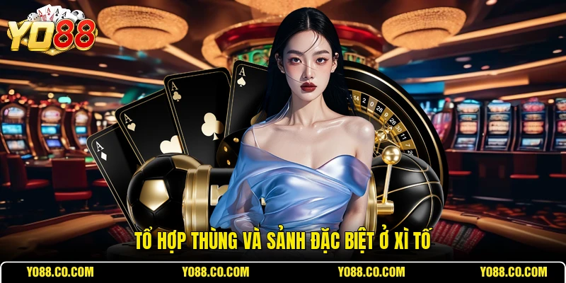 Tổ hợp thùng và sảnh đặc biệt ở Xì tố
