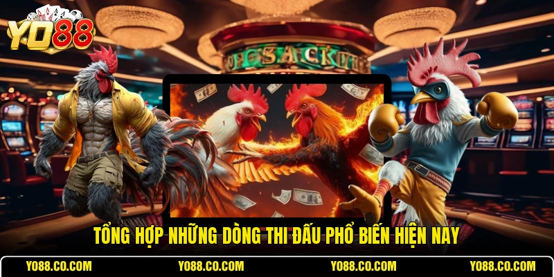 Tổng hợp những dòng thi đấu phổ biến hiện nay